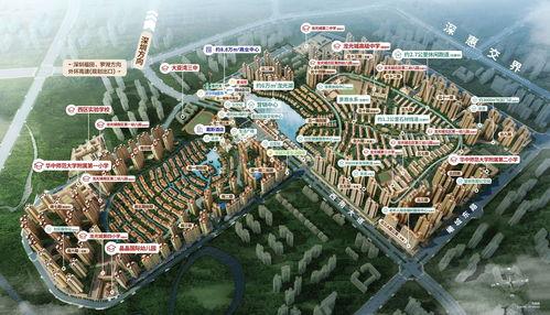 深圳龙光城爆料案件最新  第1张