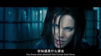 欧洲大片在线观看,在线观影指南 第2张 欧洲大片在线观看,在线观影指南 第2张